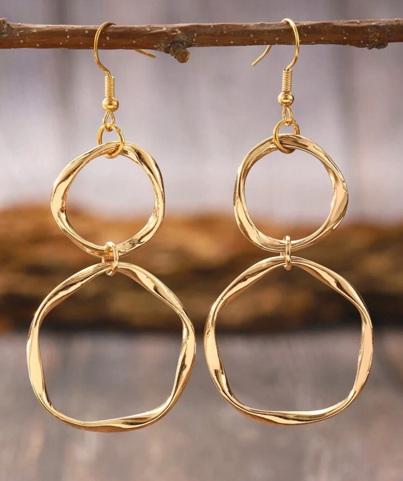 Bent Circle Double Dangle Earrings