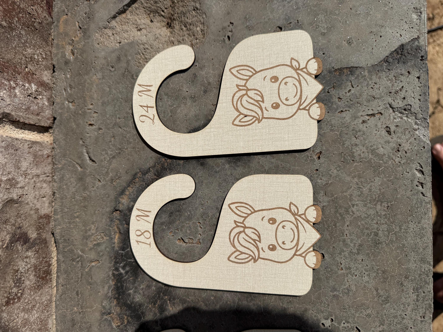Western Horse Nursery Closet Dividers: Newborn-24M, Set of 7