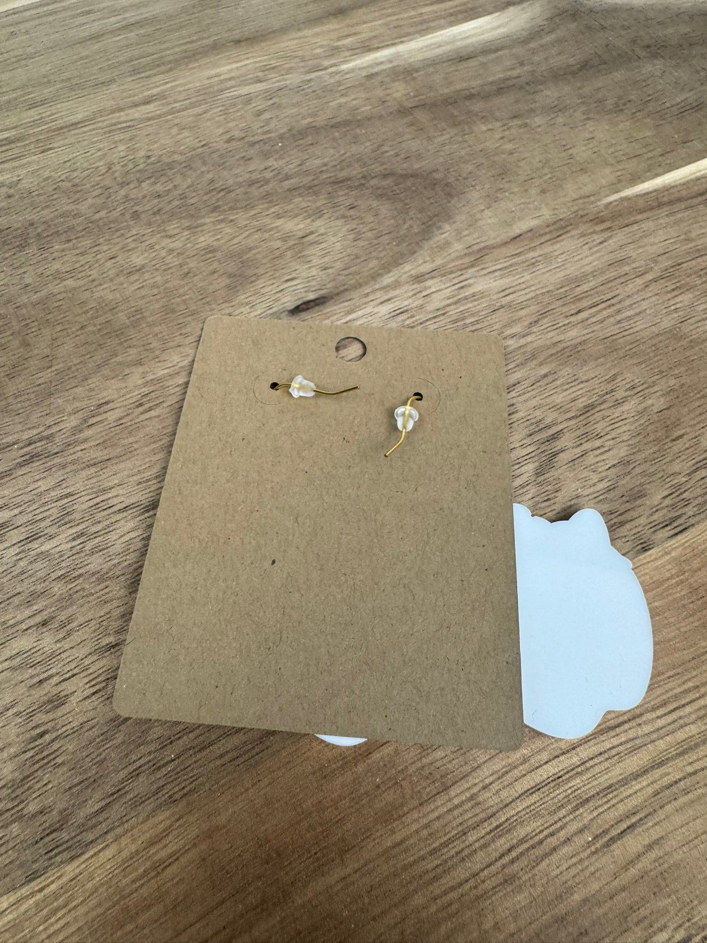 Teacher Life Leopard Apple Acrylic Earrings