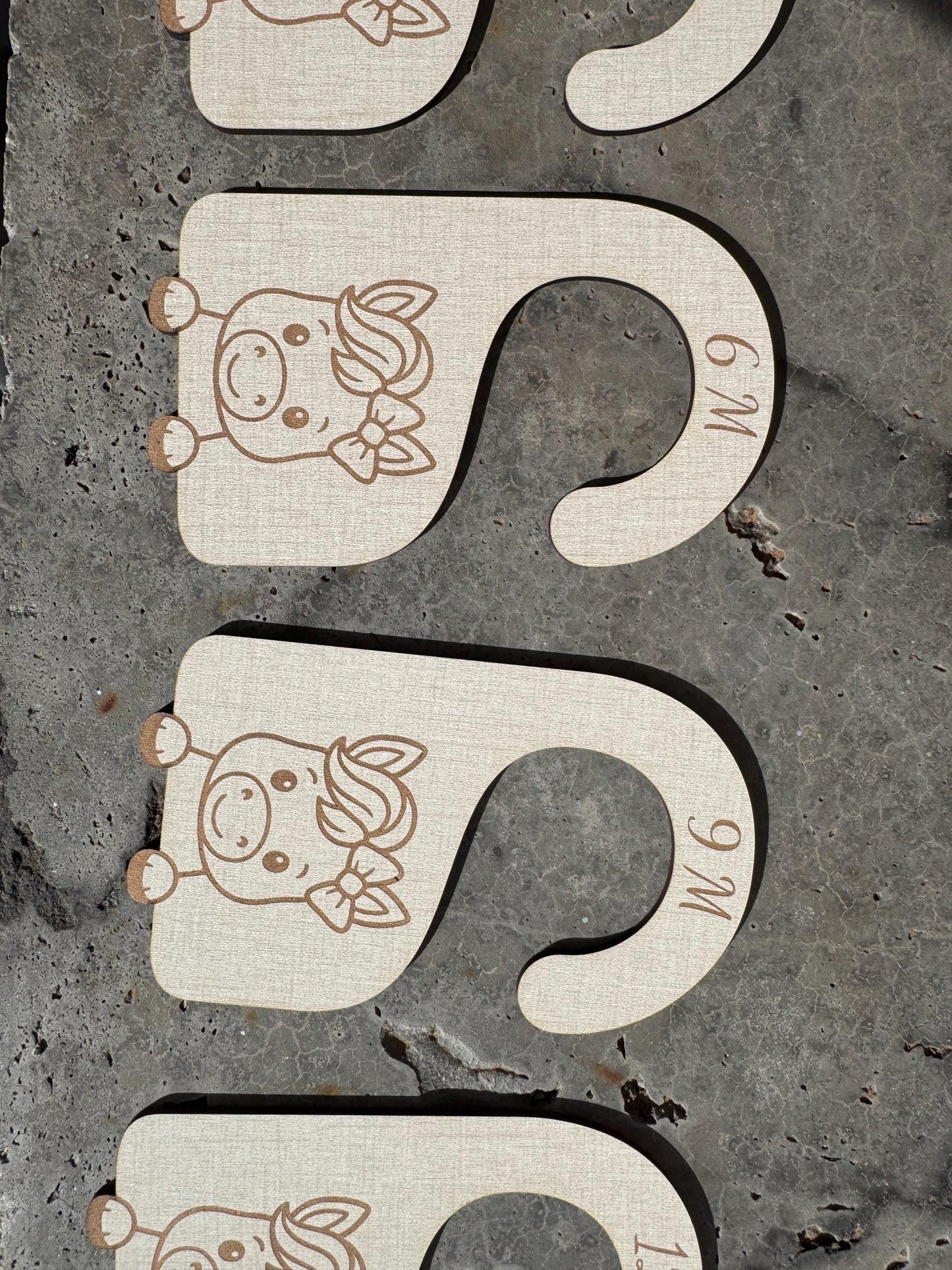 Baby Girl Horse Closet Dividers: Newborn to 24 Months, Western Nursery Decor