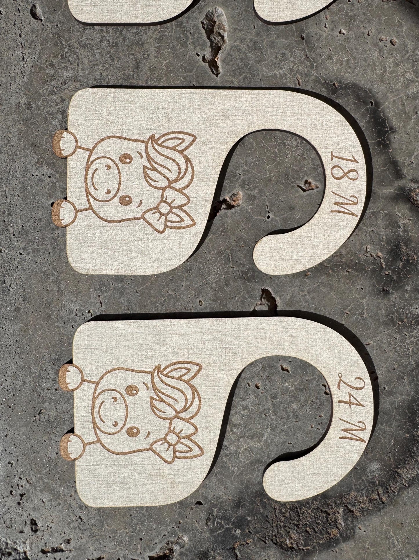 Baby Girl Horse Closet Dividers: Newborn to 24 Months, Western Nursery Decor