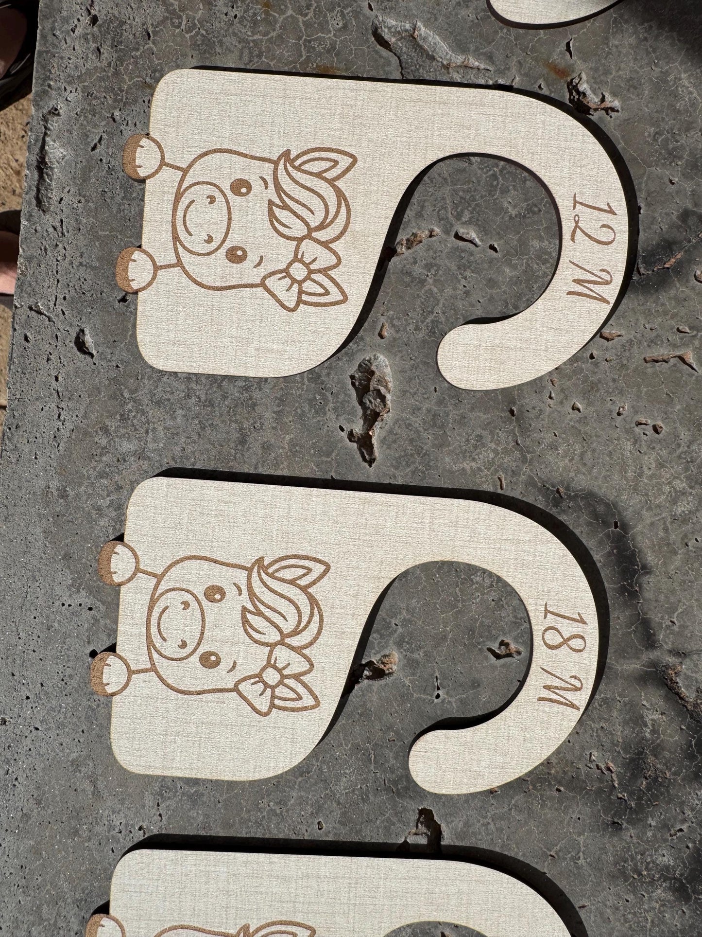 Baby Girl Horse Closet Dividers: Newborn to 24 Months, Western Nursery Decor