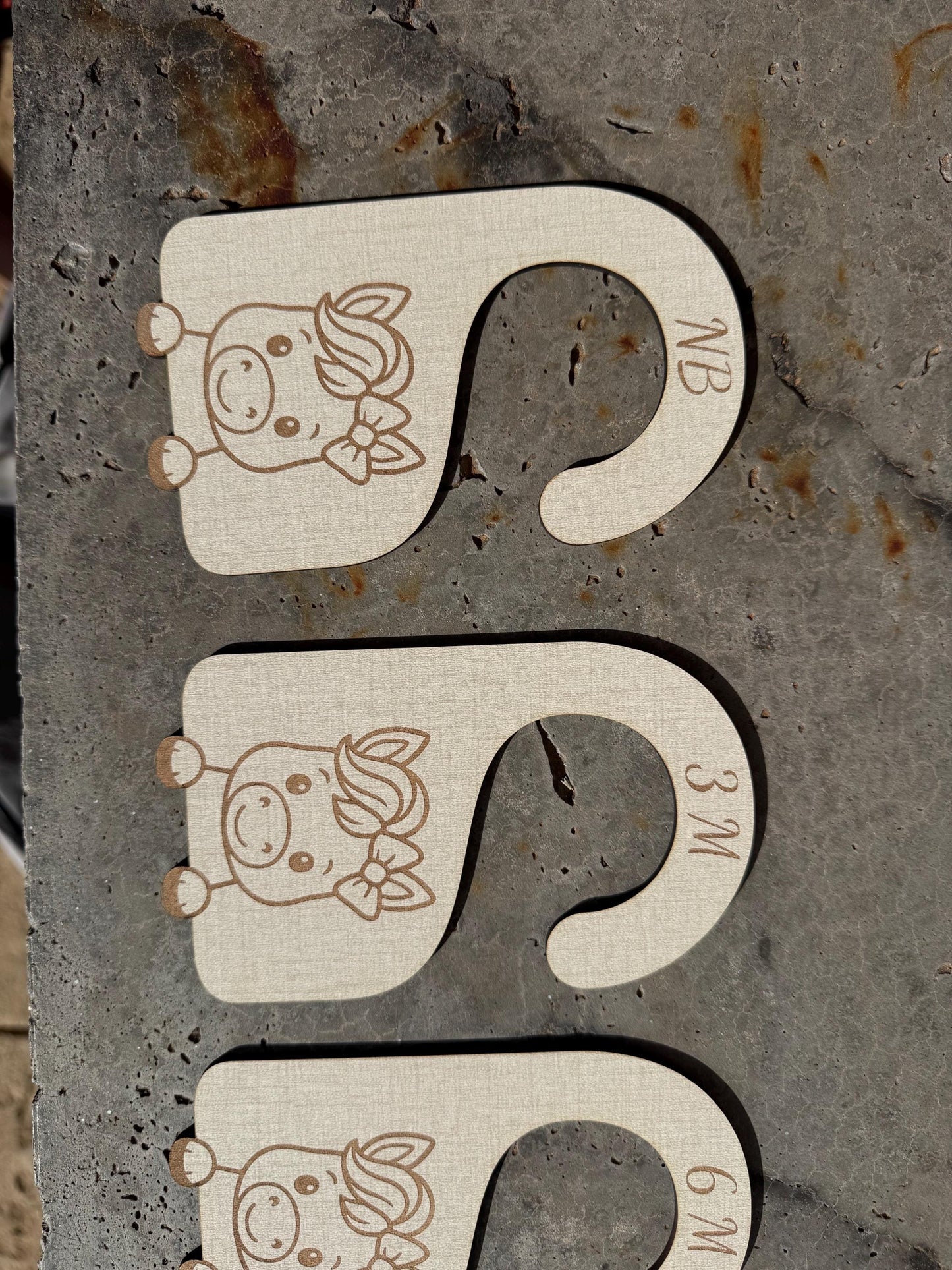 Baby Girl Horse Closet Dividers: Newborn to 24 Months, Western Nursery Decor