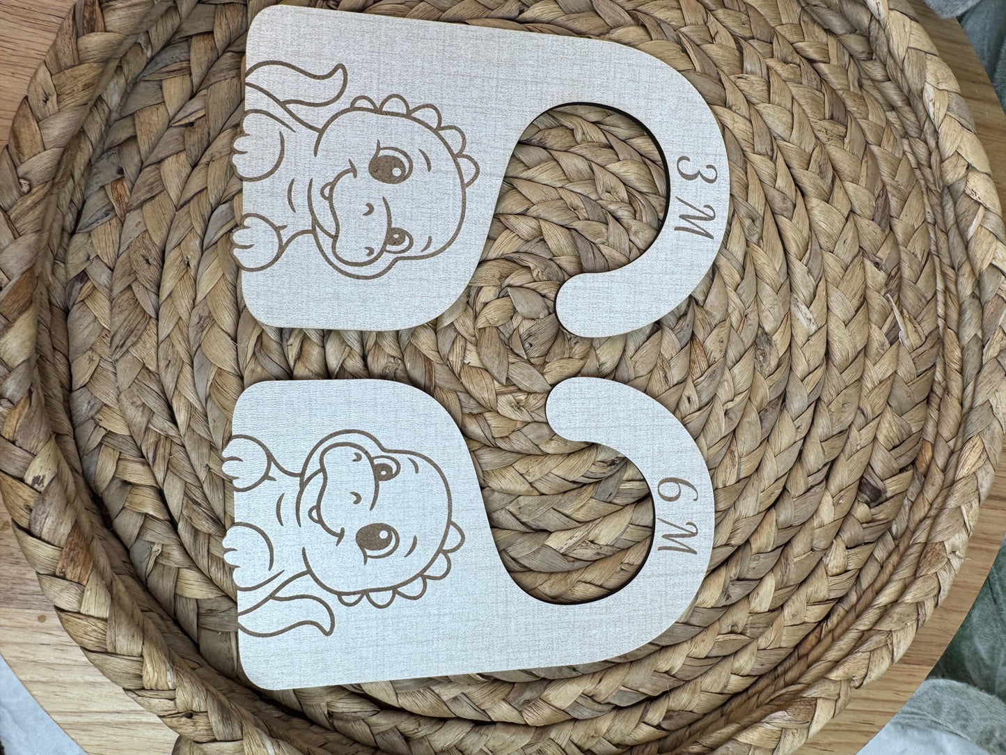 Dinosaur Nursery Closet Dividers: Baby T-Rex Closet Organizer, Newborn-24 Months